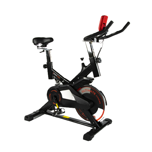 Bicicleta spinning 2025 z310 pro